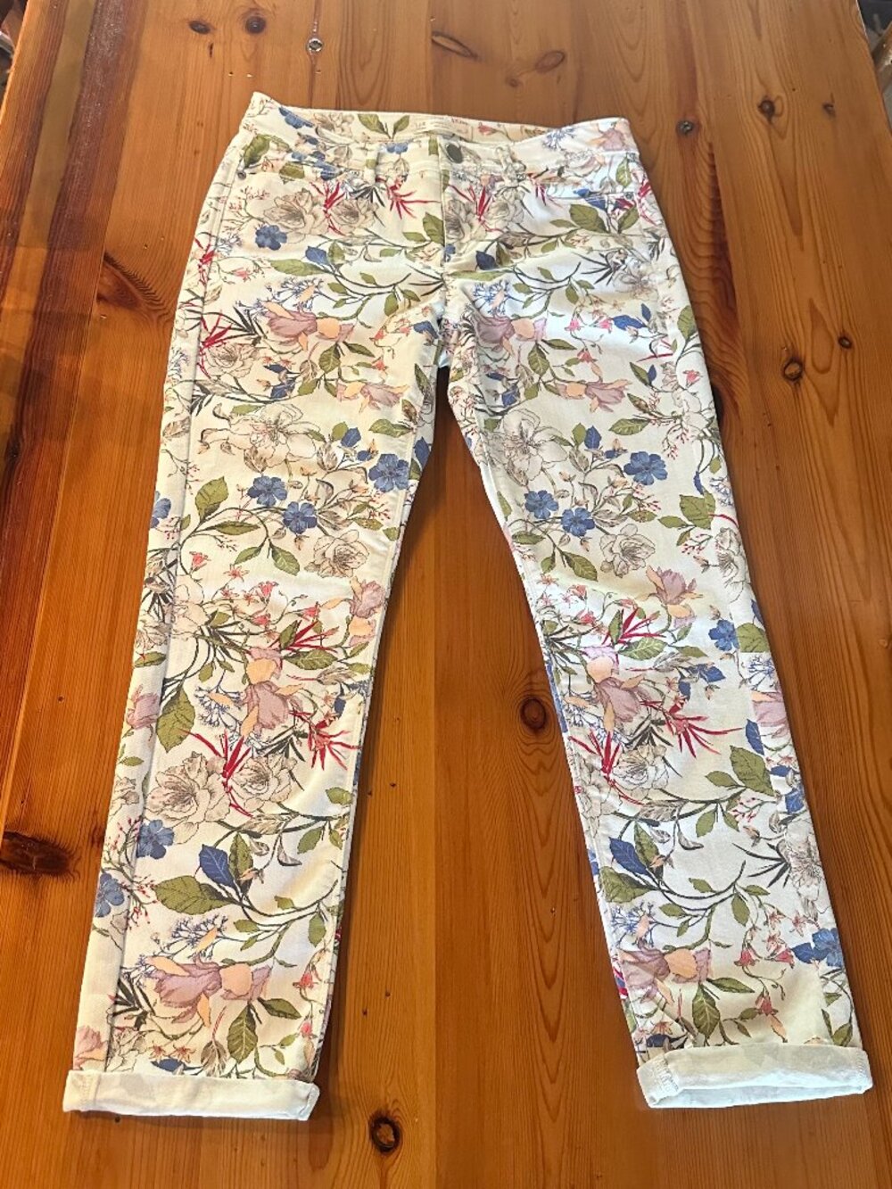 J.Jill Authentic Fit Slim Ankle jeans, size 2, NWOT
